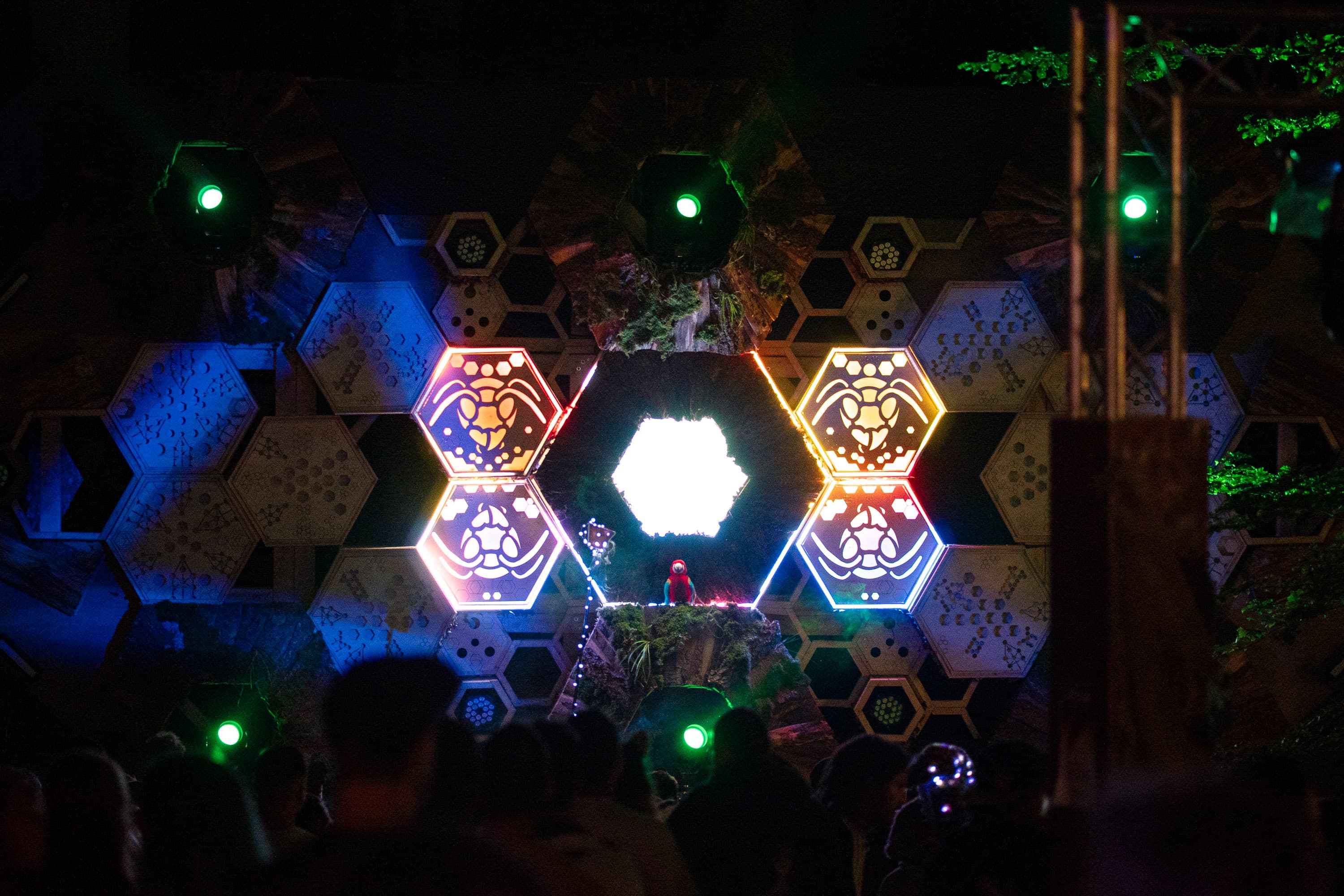 Ection festival